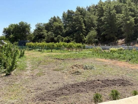 120m2 Detached Wooden House On A 2500m2 Field In Dalyan Karadağ Area