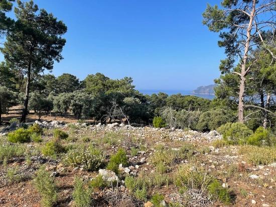 Bargain Real Estate Land For Sale With Sea View In Ekincik Çandır Arasın