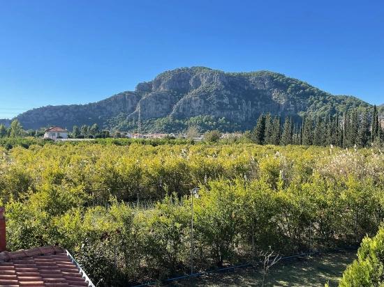 4+2 Villa For Sale On A 6000m2 Plot In Dalyan Gülpınar