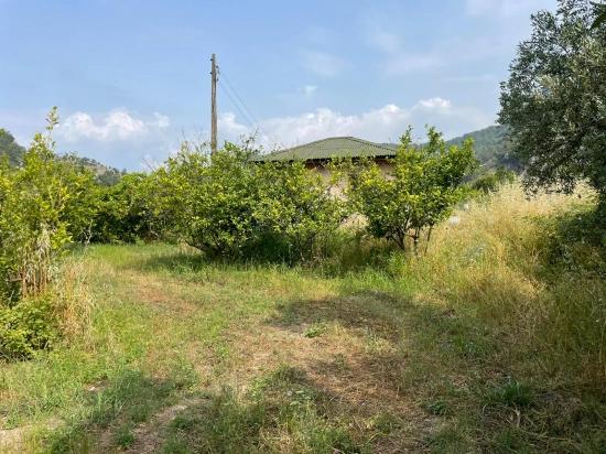 7800m2 Land For Sale In Gökbel, Next To Iztuzu Beach Road