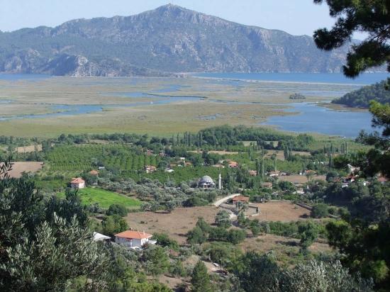 19,334 M² Plot Of Land For Sale In Çandır, Köyceğiz.