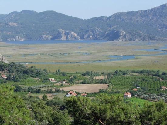 19,334 M² Plot Of Land For Sale In Çandır, Köyceğiz.