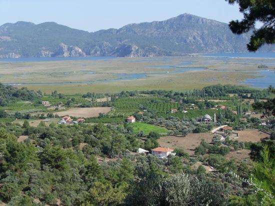 19,334 M² Plot Of Land For Sale In Çandır, Köyceğiz.