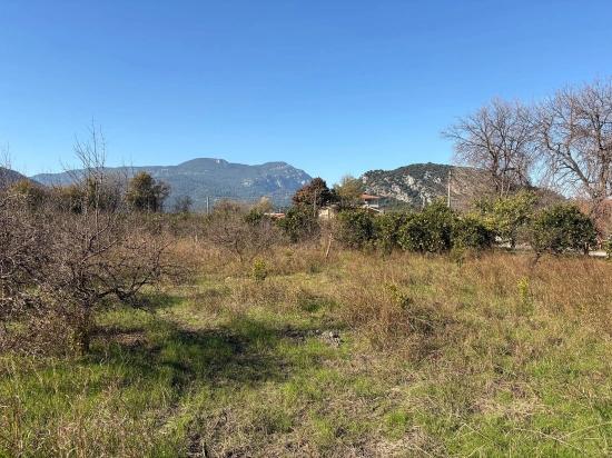 4,541 M² Garden For Sale In Dalyan.