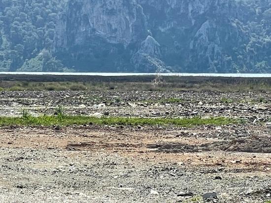 19,600 M² Plot Of Land For Sale, Located Directly On The Road To Dalyan Iztuzu Beach.