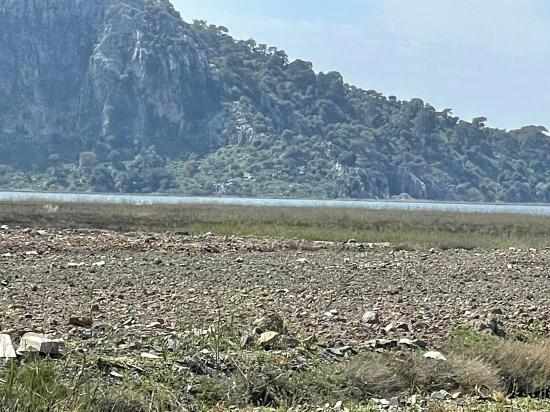 19,600 M² Plot Of Land For Sale, Located Directly On The Road To Dalyan Iztuzu Beach.