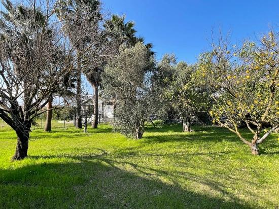 Detached Single-story House For Sale On A 2882 M2 Plot In Eskiköy.