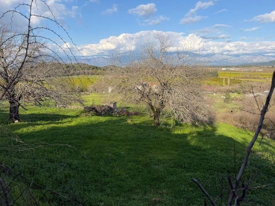 11,230 M² Plot Of Land For Sale In Dalyan With Lake View.