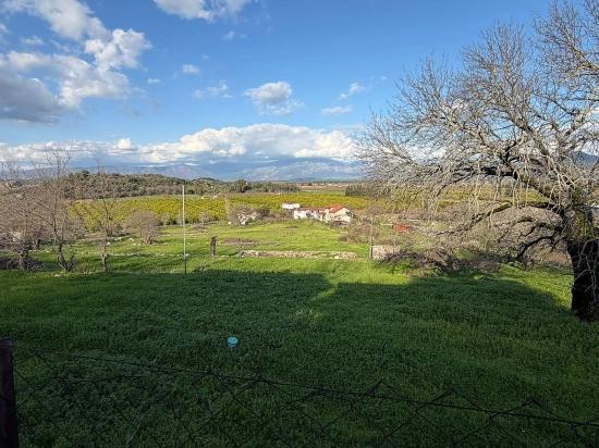 11,230 M² Plot Of Land For Sale In Dalyan With Lake View.