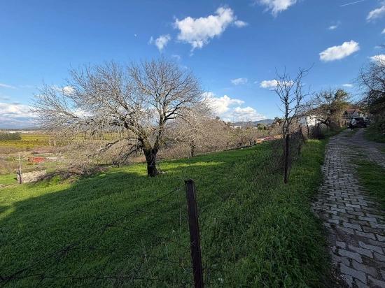 11,230 M² Plot Of Land For Sale In Dalyan With Lake View.