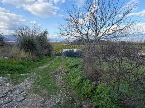 11,230 M² Plot Of Land For Sale In Dalyan With Lake View.