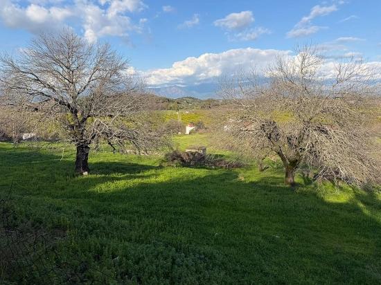 11,230 M² Plot Of Land For Sale In Dalyan With Lake View.