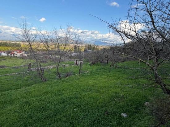 11,230 M² Plot Of Land For Sale In Dalyan With Lake View.
