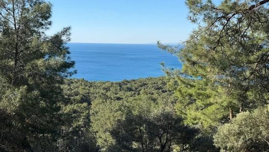 2b Field Of 5715m2 For Sale With Full Sea View In Çandır