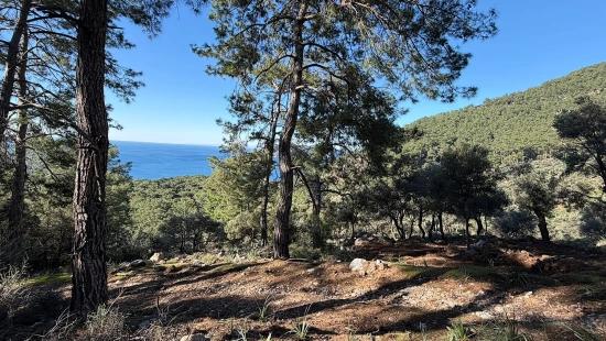 2b Field Of 5715m2 For Sale With Full Sea View In Çandır