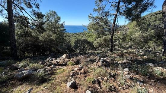 2b Field Of 5715m2 For Sale With Full Sea View In Çandır