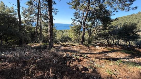 2b Field Of 5715m2 For Sale With Full Sea View In Çandır