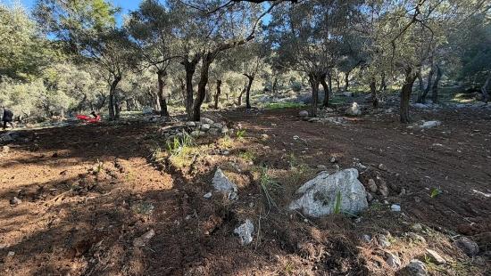 2b Field Of 5715m2 For Sale With Full Sea View In Çandır