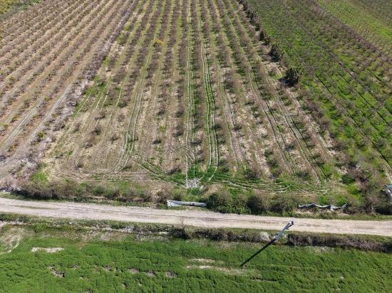 16.710m2 Pomegranate Garden For Sale With Lake View In Eskiköy