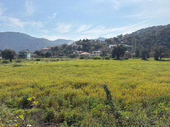 2,023 M² Plot Of Land For Sale In Çandır Village, Köyceğiz, With Shared Ownership And Voluntary Partition.