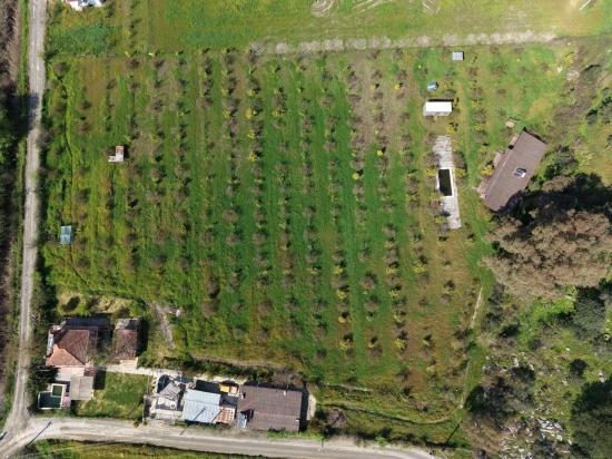 Tourism-oriented Business For Sale On An 11,000 M2 Plot Of Land In Eskiköy.