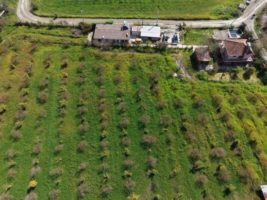 Tourism-oriented Business For Sale On An 11,000 M2 Plot Of Land In Eskiköy.