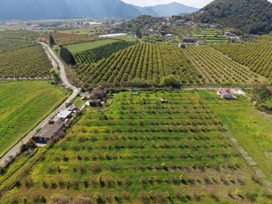 Tourism-oriented Business For Sale On An 11,000 M2 Plot Of Land In Eskiköy.