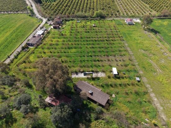 Tourism-oriented Business For Sale On An 11,000 M2 Plot Of Land In Eskiköy.