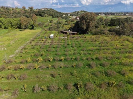 Tourism-oriented Business For Sale On An 11,000 M2 Plot Of Land In Eskiköy.