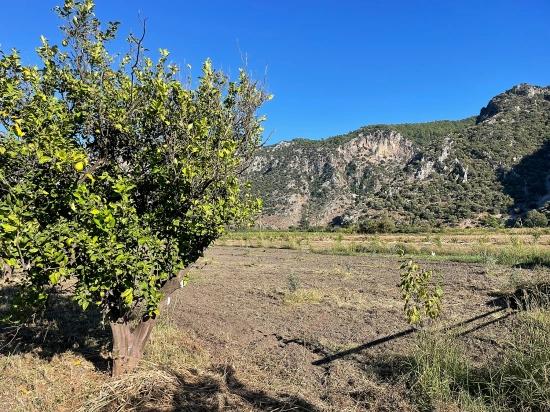 6600m2 Plot Of Land For Sale Near The Center Of Dalyan.