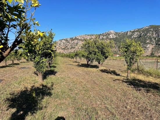 6600m2 Plot Of Land For Sale Near The Center Of Dalyan.
