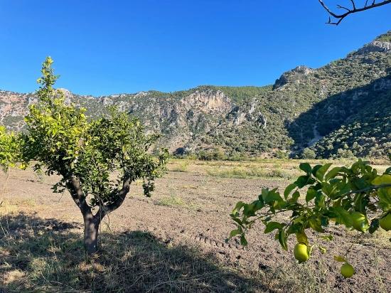 6600m2 Plot Of Land For Sale Near The Center Of Dalyan.