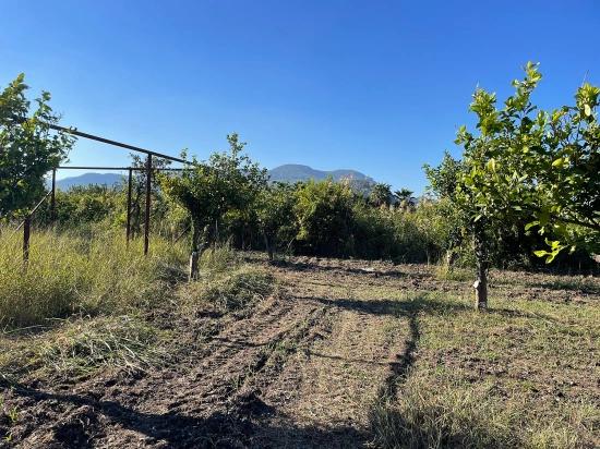 6600m2 Plot Of Land For Sale Near The Center Of Dalyan.