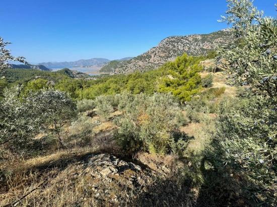 3514m2 Land For Sale With Full Sea View In Gökbel