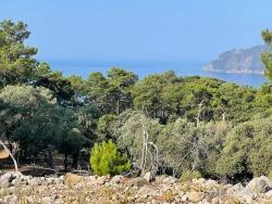 Field For sale in Çandır Nbh. Köyceğiz - Housing Zoned - 10.481 m²
