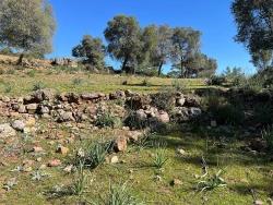 Field For sale in Gökbel Nbh. Ortaca - Field Zoned - 24.163 m²