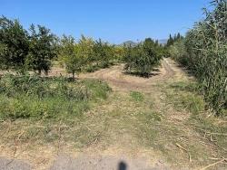 Field For sale in Dalyan Nbh. Ortaca - Housing Zoned - 10.000 m²