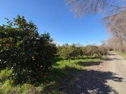 Land For sale in Okçular Nbh. Ortaca - Housing Zoned - 4.326 m²