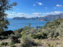 Field For sale in Çandır Nbh. Köyceğiz - Field Zoned - 20.000 m²