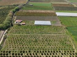 Field For sale in Eskiköy Nbh. Ortaca - Field Zoned - 16.000 m²