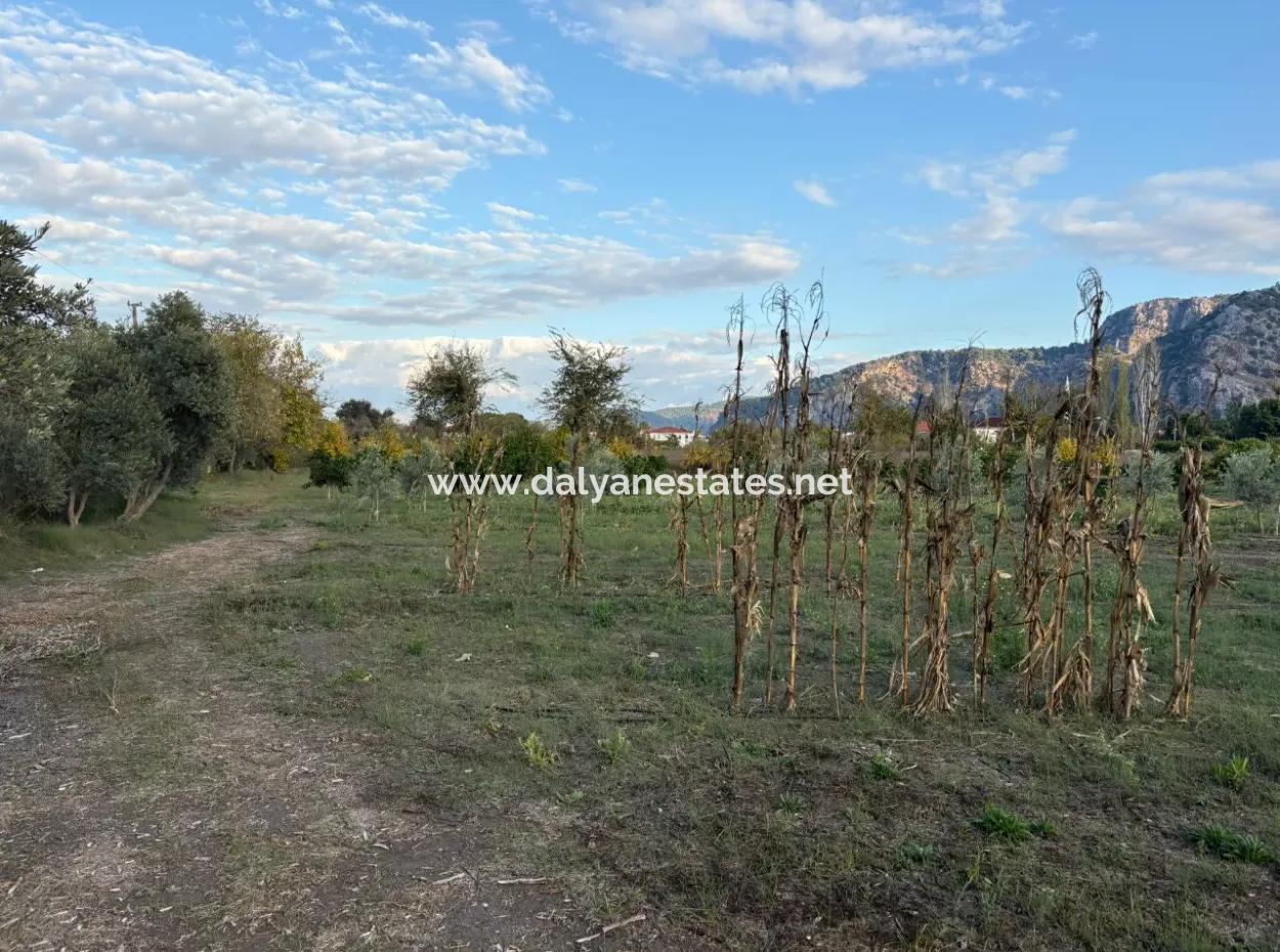 7,450M2 Land For Sale Close To The Center Of Dalyan
