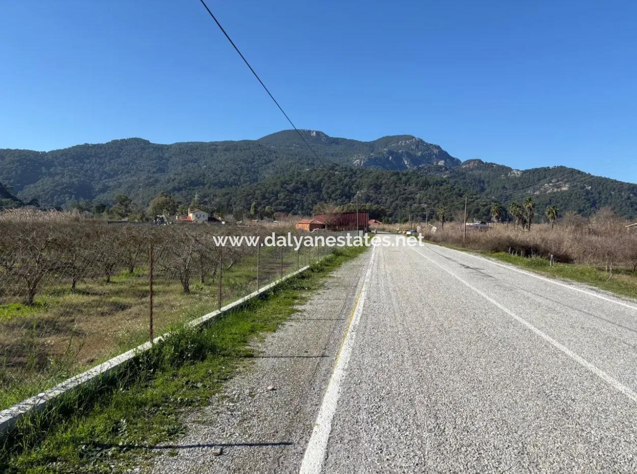 5985M2 5% Zoned Land For Sale In Dalyan As Vineyard Garden