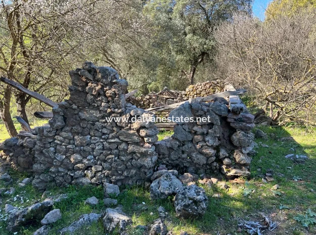 Land For Sale In Nature And Forest In Gökbel