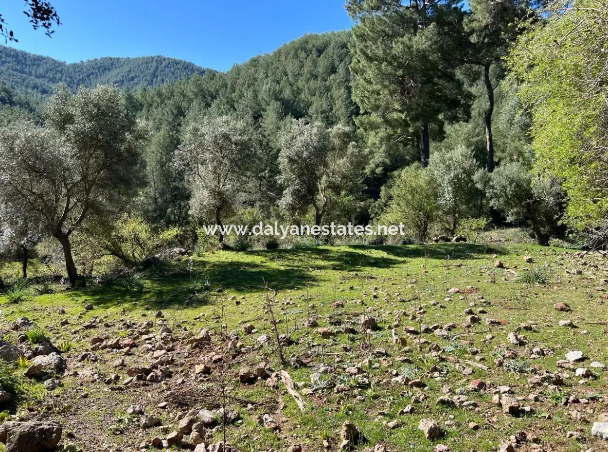 Land For Sale In Nature And Forest In Gökbel