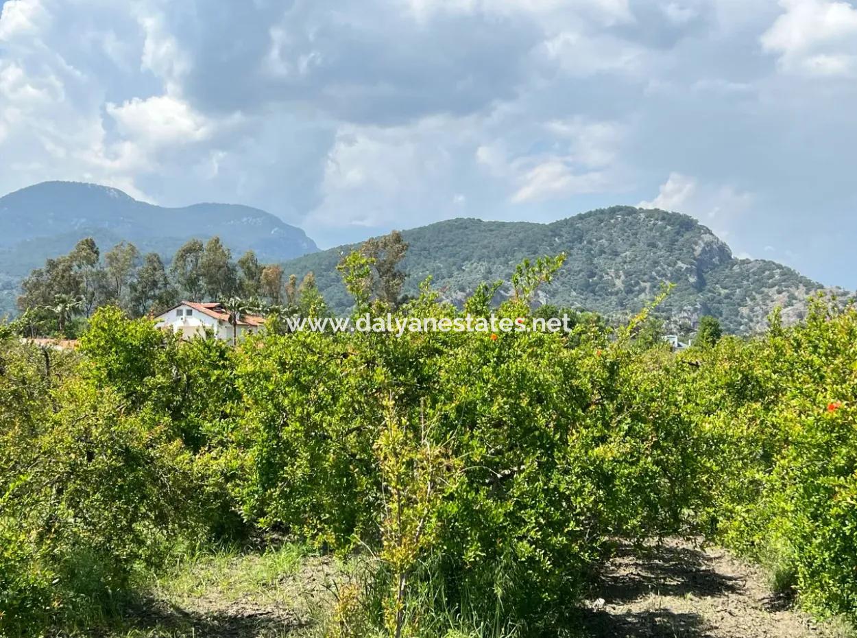 5,100M2 Land For Sale In Dalyan Maraş Area With 5% Residential Zoning