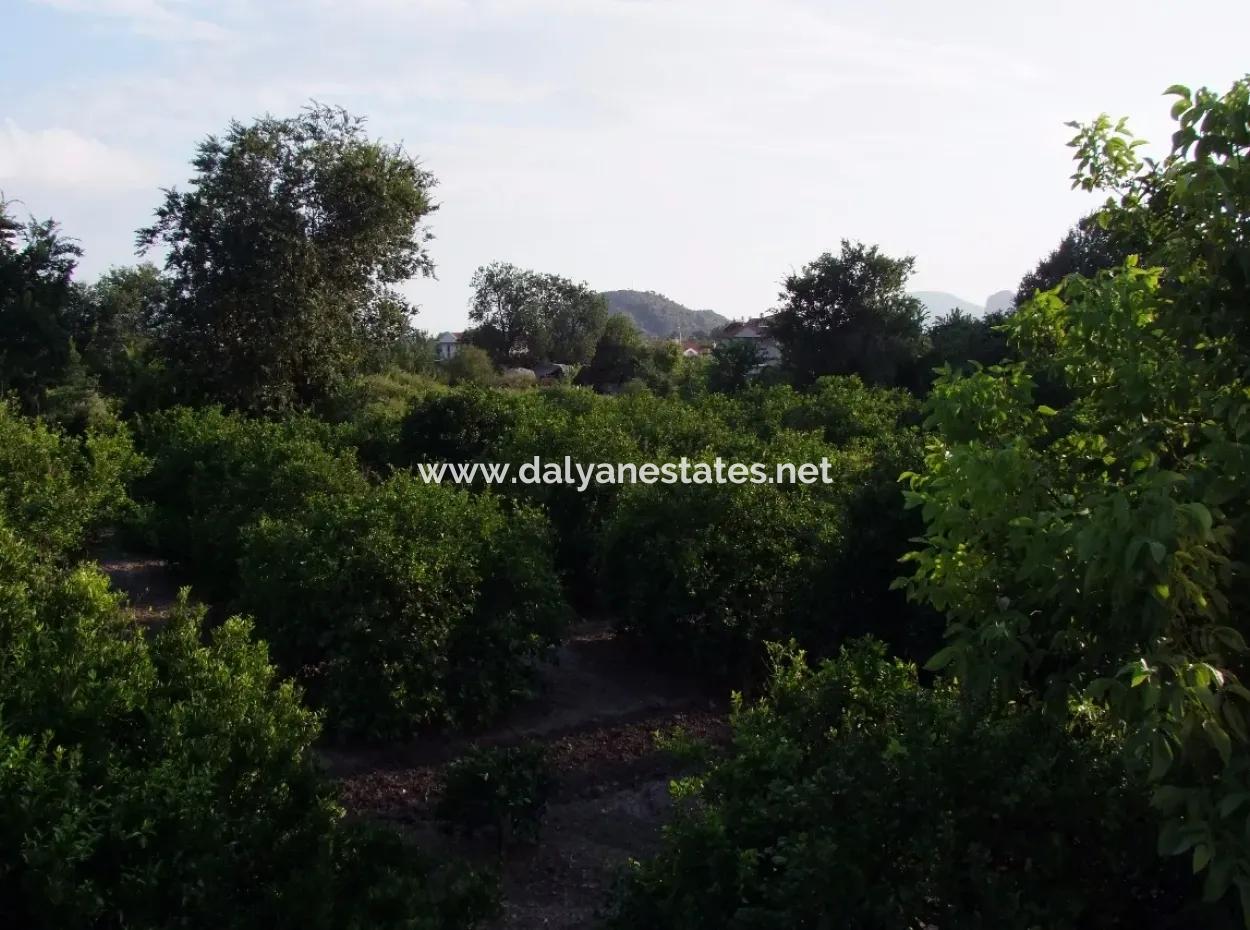 Near The Centre Of Dalyan In Dalyan Plot For Sale For Sale 987M2