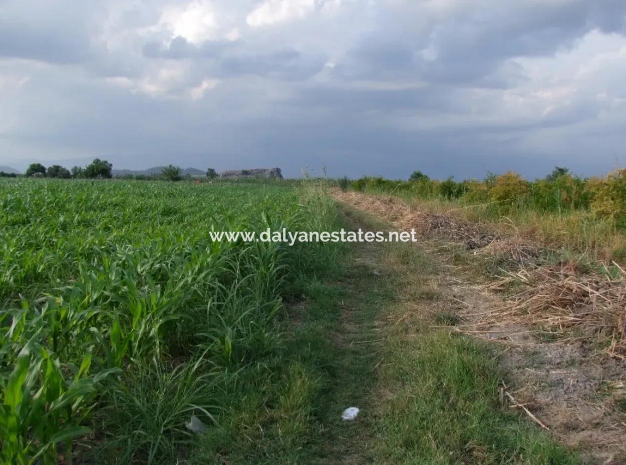 Farm For Sale Near The Centre Of Dalyan,14, 612M2 Farm For Sale
