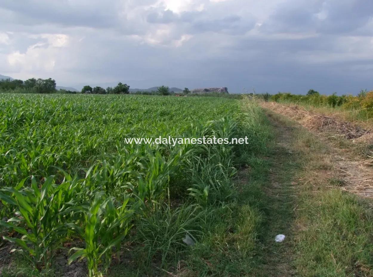 Farm For Sale Near The Centre Of Dalyan,14, 612M2 Farm For Sale