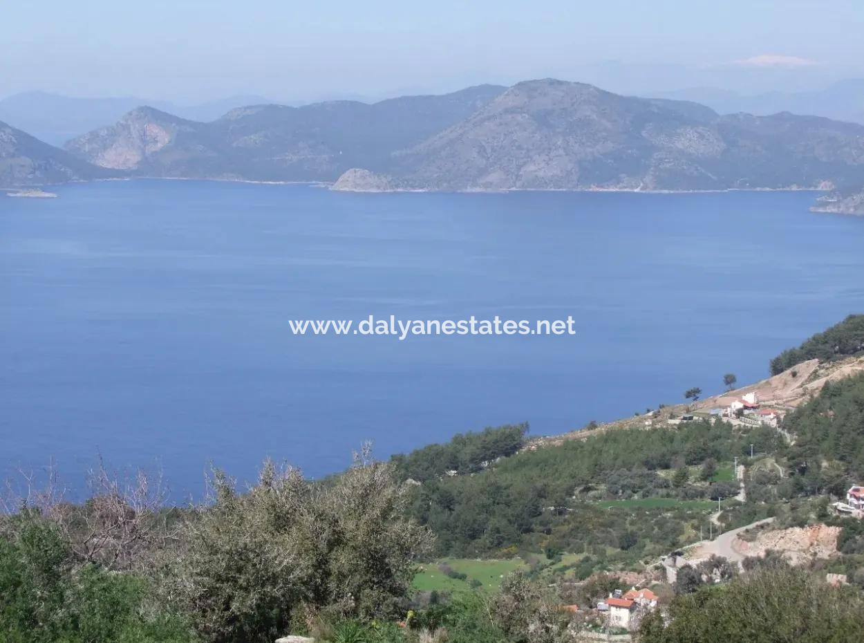 For Sale In Faralya Faralya With Sea View And 11,286M2 Land For Sale Tourism