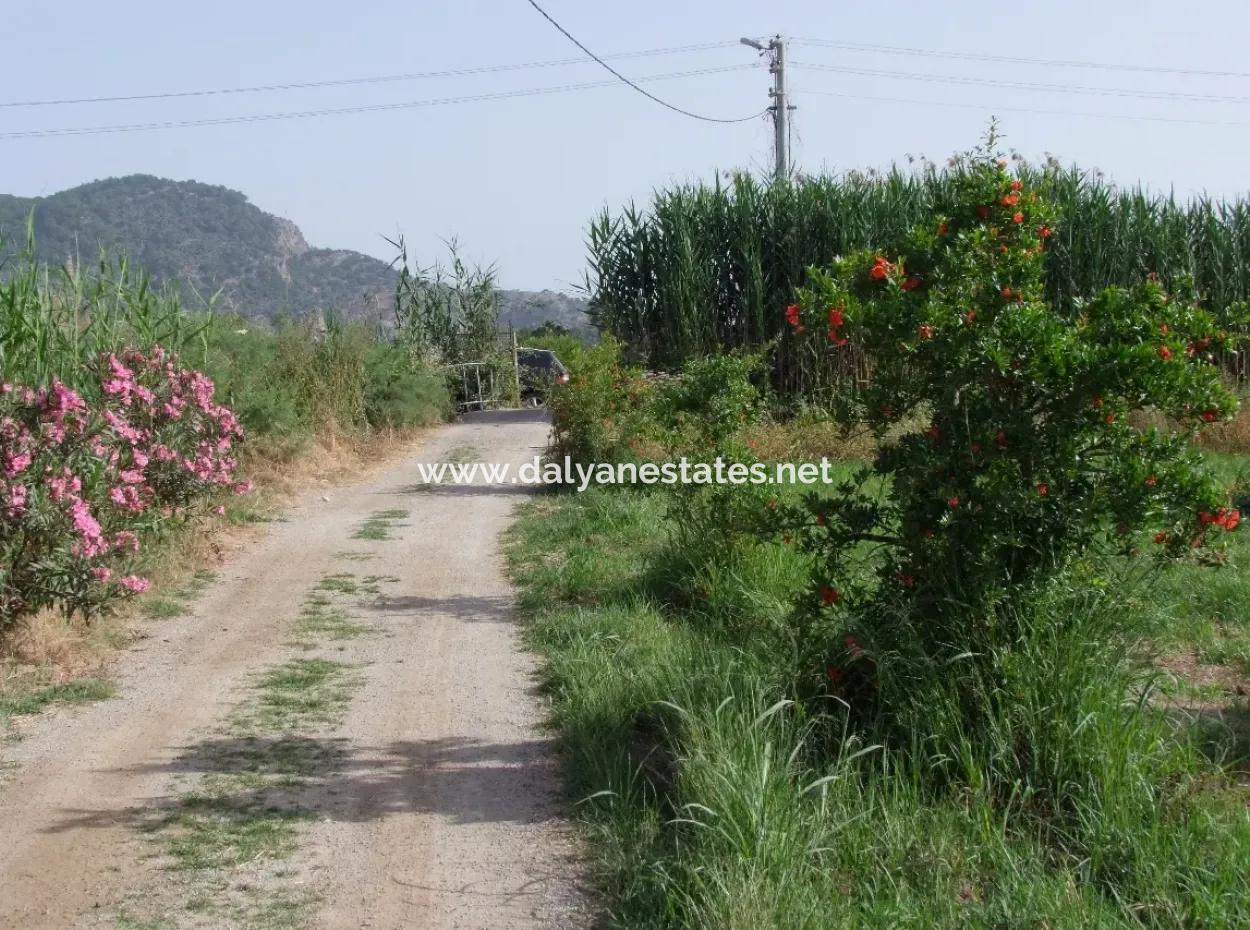 Merkez Dalyan Iztuzu Lake Garden Villa For Sale